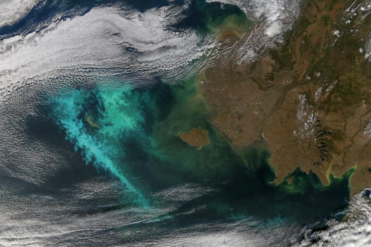 Los océanos están cambiando de color y son cada vez menos azules