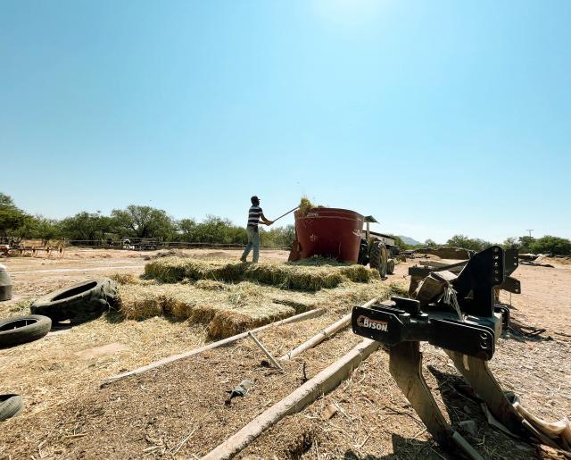 Crisis en el campo de Aguascalientes: así se vive la sequía 